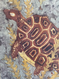 Batik-Style Print of Turtle