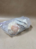 12 Piece Seashells
