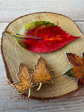 Trio of Enamel Autumn Leaf Brooches