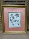 Botanical Print with Pink Mat (A)