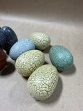 Crackled Style Decorative Eggs - 12 Eggs