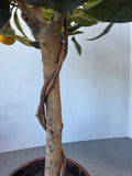Artificial Lemon Tree in Resin Pot