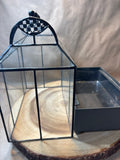 Glass Terrarium