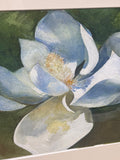 Watercolor of Magnolia Flower; Signed