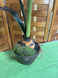 Faux Red Amaryllis Flowers in Ceramic Pot (C)