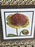 Flower Print with Border with Black/Ivory Border
