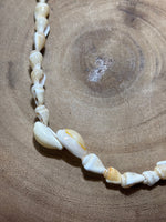 Shell Necklace