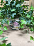 Artificial Ivy In Floral Asian Inspired Ceramic Pot
