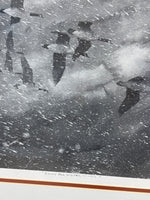 Study For Winter Wings Print by Herb Jones; Signed & Numbered (2/500)