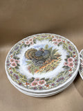 Queens Myott Thanksgiving Turkey Dinner Plates - Set Of 6 (A)