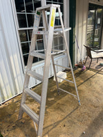 Werner 6' Ladder