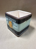 Square Old Fashioned Carrots Ceramic Canister