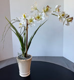 Faux White Orchids in Crackled Cream Ceramic Planter