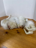 Jack Frost Fairy By Mark Roberts With Box