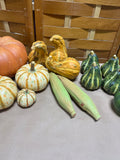 Decorative Pumpkins, Corn and Gourds