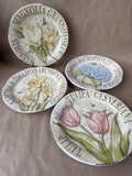 Pottery Barn Flower Salad Plates - Set Of 4