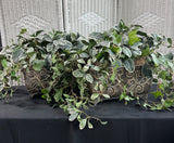 Pair of Faux Greenery in Embossed Tin Planters
