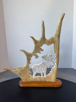 Signed Moose Antler Carving