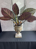 Artificial Calathea in Resin Urn