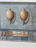 (Y) Mixed-Media Style Shell Print; Signed