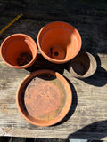 Terracotta Pots (3) and Saucer