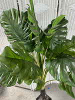 Faux Swiss Cheese Ficus Style Plant