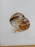 (C) Shell Print; Signed & Numbered Artist - Lee Caltagirone
