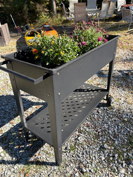 Raised Garden Bed on Wheels w/Two Plants