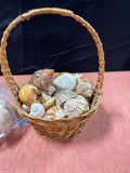 Small Basket Full of Shells Plus an Additional bag of Shells