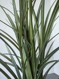 Artificial Lily Grass in Plastic Pot