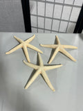 Set of 3 Decorative  10" Star Fish
