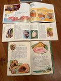 Homeschooling Book Lot E, Oceans & Shells, 5 books