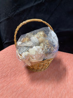 Small Basket Full of Shells Plus an Additional bag of Shells