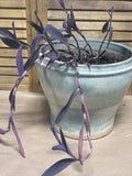 Ceramic Pale Blue Planter with LIVE Purple Heart Plant