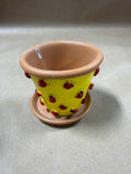 Dept 56 Terra Cotta Style Planter With Lady Bugs