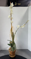 Faux Miniature Orchids in Terra Cotta Pot