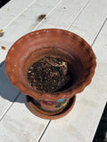 Painted Pot with Saucer