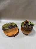 Acorn Covered Dish With Acorn Candy Plate