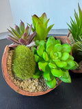 Pair of Artificial Succulent Arrangements in Tipped Resin Pots