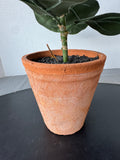 Artificial Fiddle Leaf Tree in Terracotta Pot