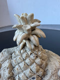 Welcome Pineapple Resin Decorative Key Hiding Rock