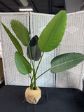 Artificial Bird Of Paradise Plant