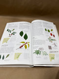 The Sibley Guide To Trees