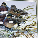 Signed Print of Widgeon Ducks