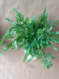 Artificial Potted Plant