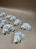 10-Piece Seashell Napkin Rings // 2 Sets Available // PRICED INDIVIDUALLY  (FF)