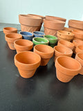 Lot Of Terra Cotta Planters And Mini Orchid Planters