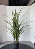 Artificial Lily Grass in Plastic Pot