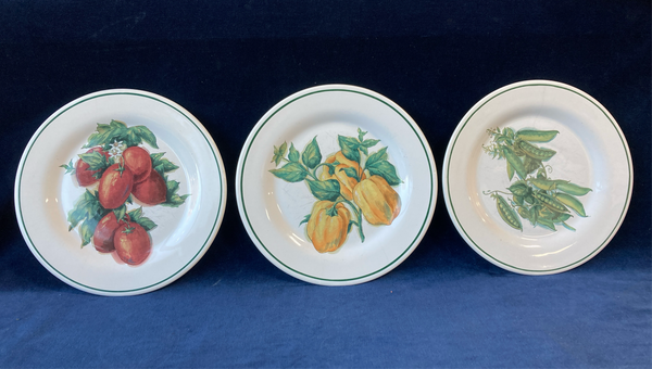 3 Piece Set of Williams Sonoma Harvest Salad Plates