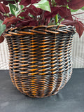 Artificial Mixed Calathea Arrangement in Basket